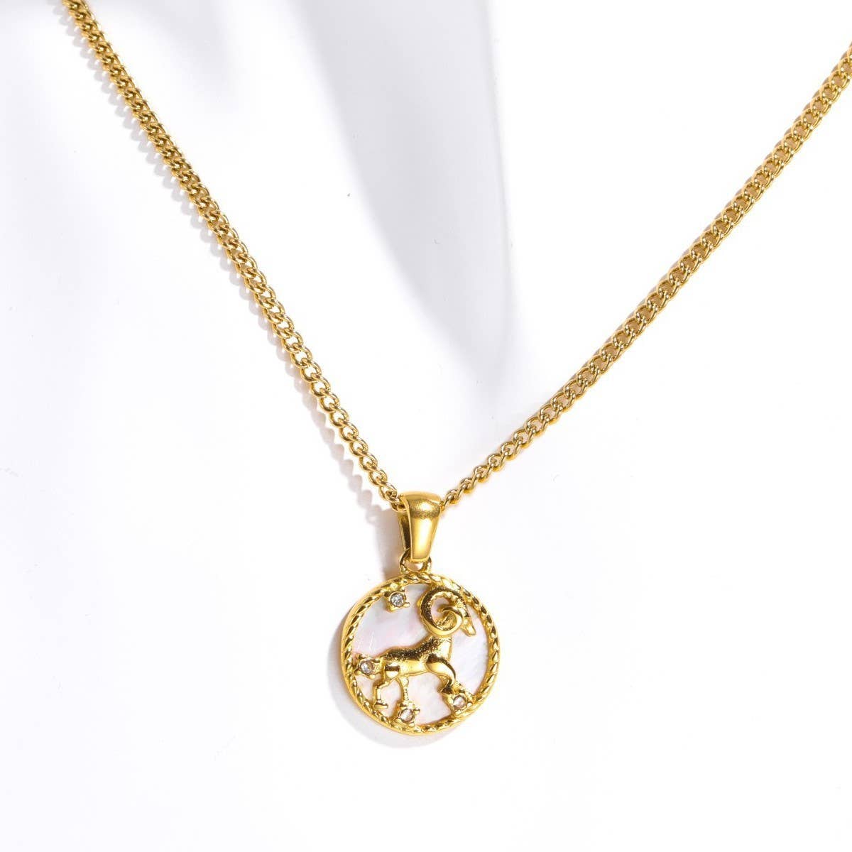 12 Constellations Shell Coin Necklace_CWMM3750