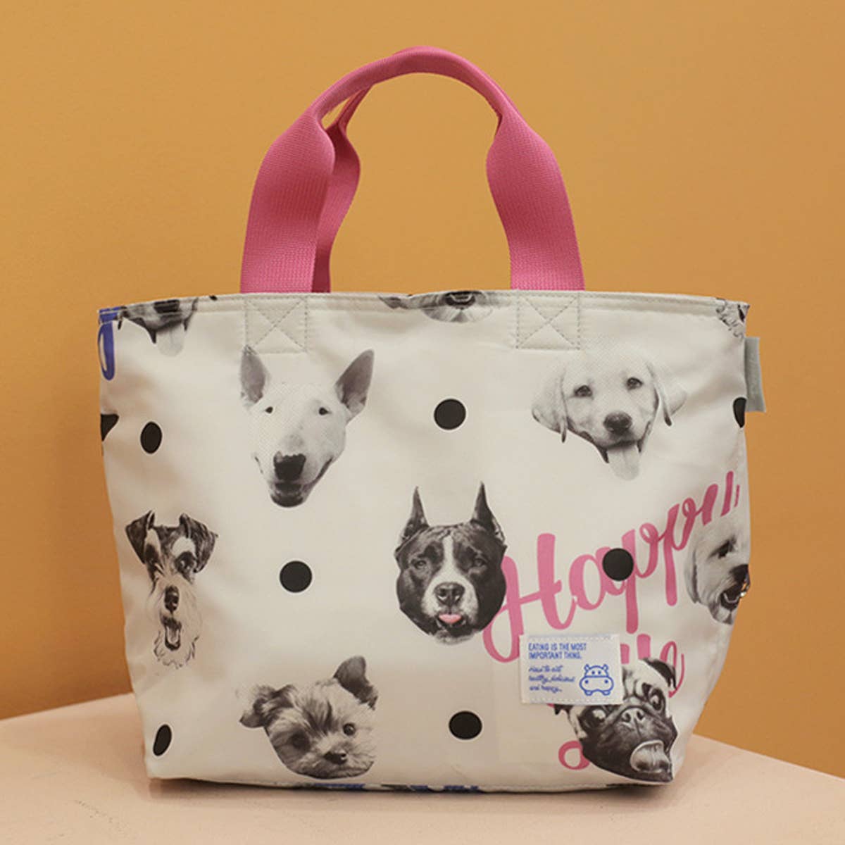 FASHIONABLE INSULATED LUNCH BAG_CWAB1858