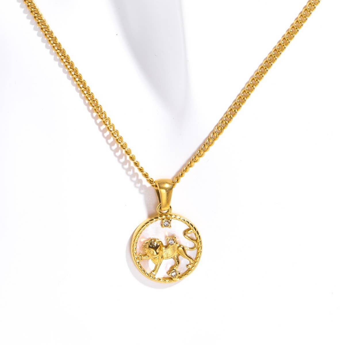 12 Constellations Shell Coin Necklace_CWMM3750