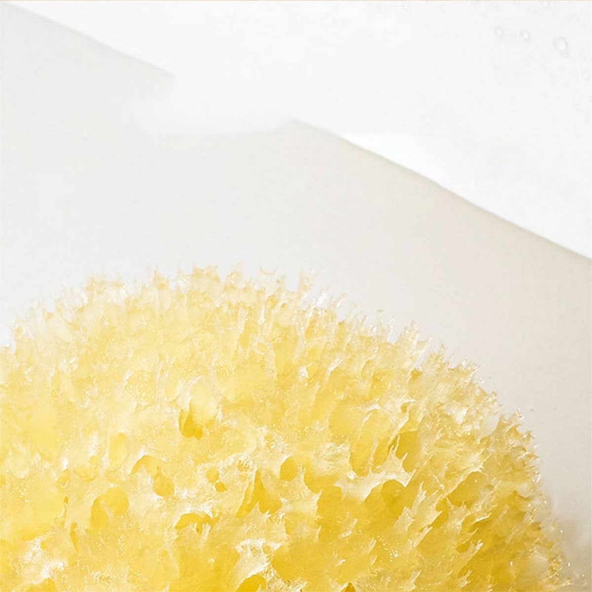 NATURAL SPONGE FOR WASHING FACE AND BATHING