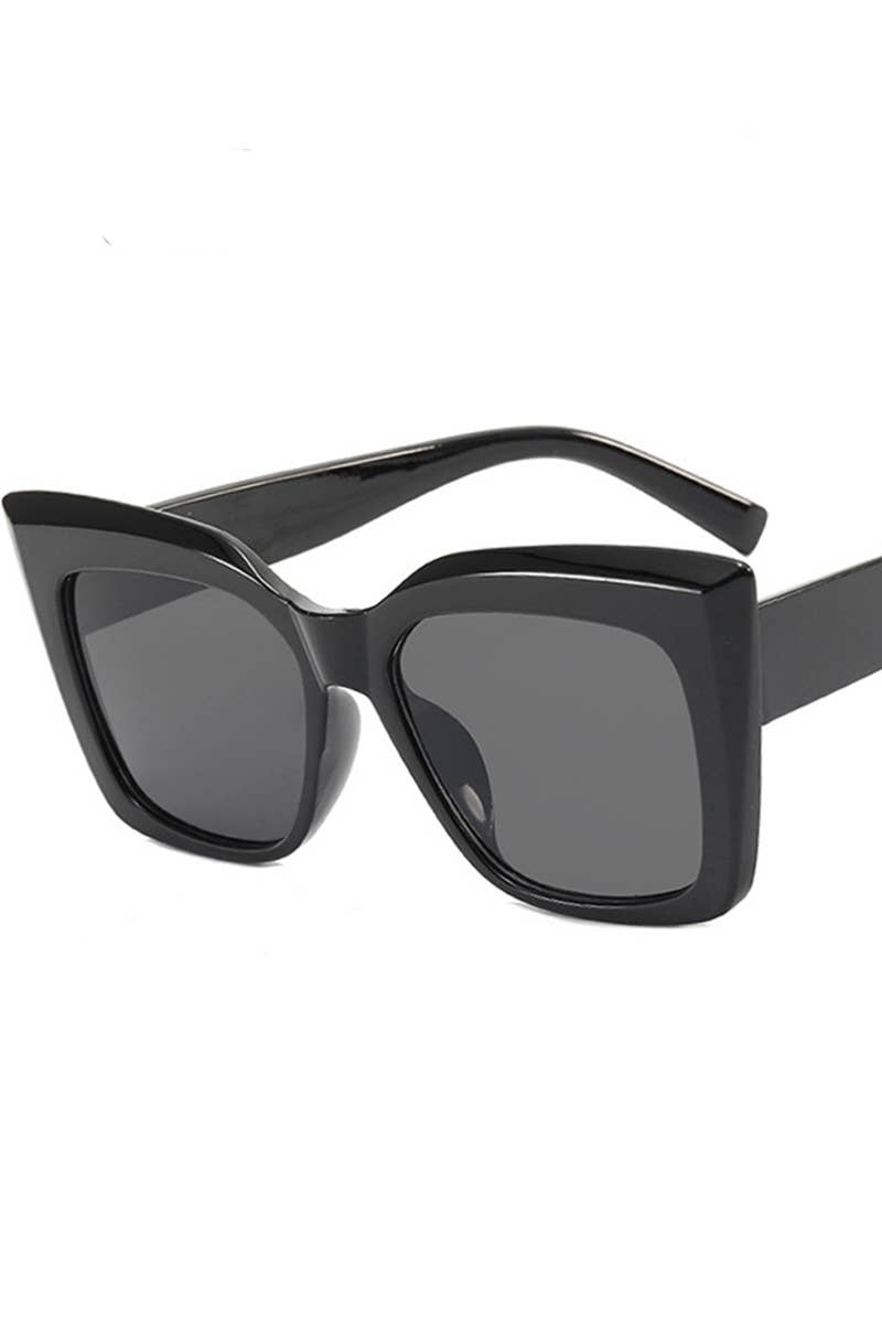 CATS EYE BIG FRAME SUNGLASSES_CWASG0129