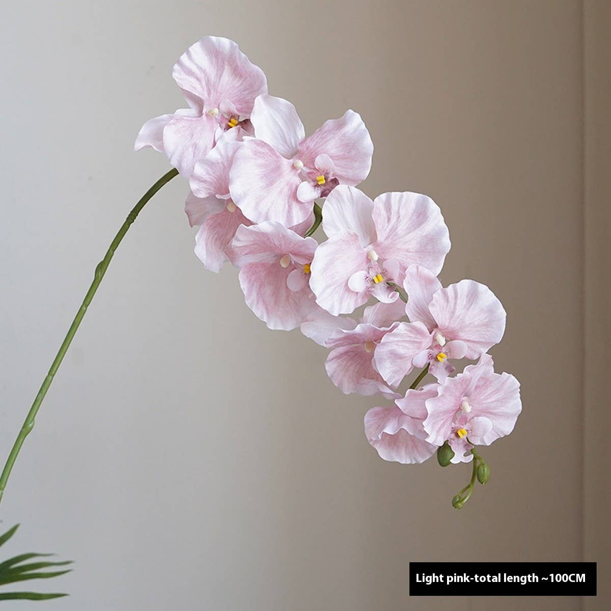 Premium Silk 9-Head Phalaenopsis Orchid Home Decor_CWMM6479