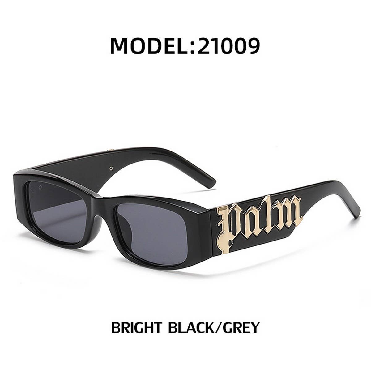 SMALL FRAME SUNGLASSES WITH WIDE TEMPLES_CWASG0570