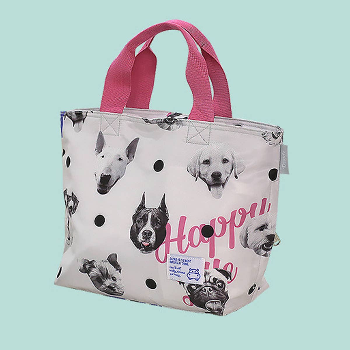 FASHIONABLE INSULATED LUNCH BAG_CWAB1858