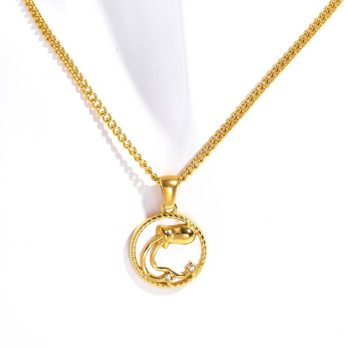 12 Constellations Shell Coin Necklace_CWMM3750