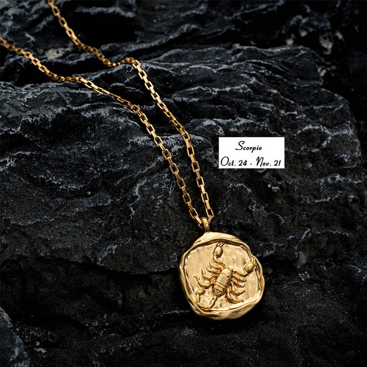 STAINLESS STEEL ZODIAC OVAL PENDANT NECKLACE_CWMM3761