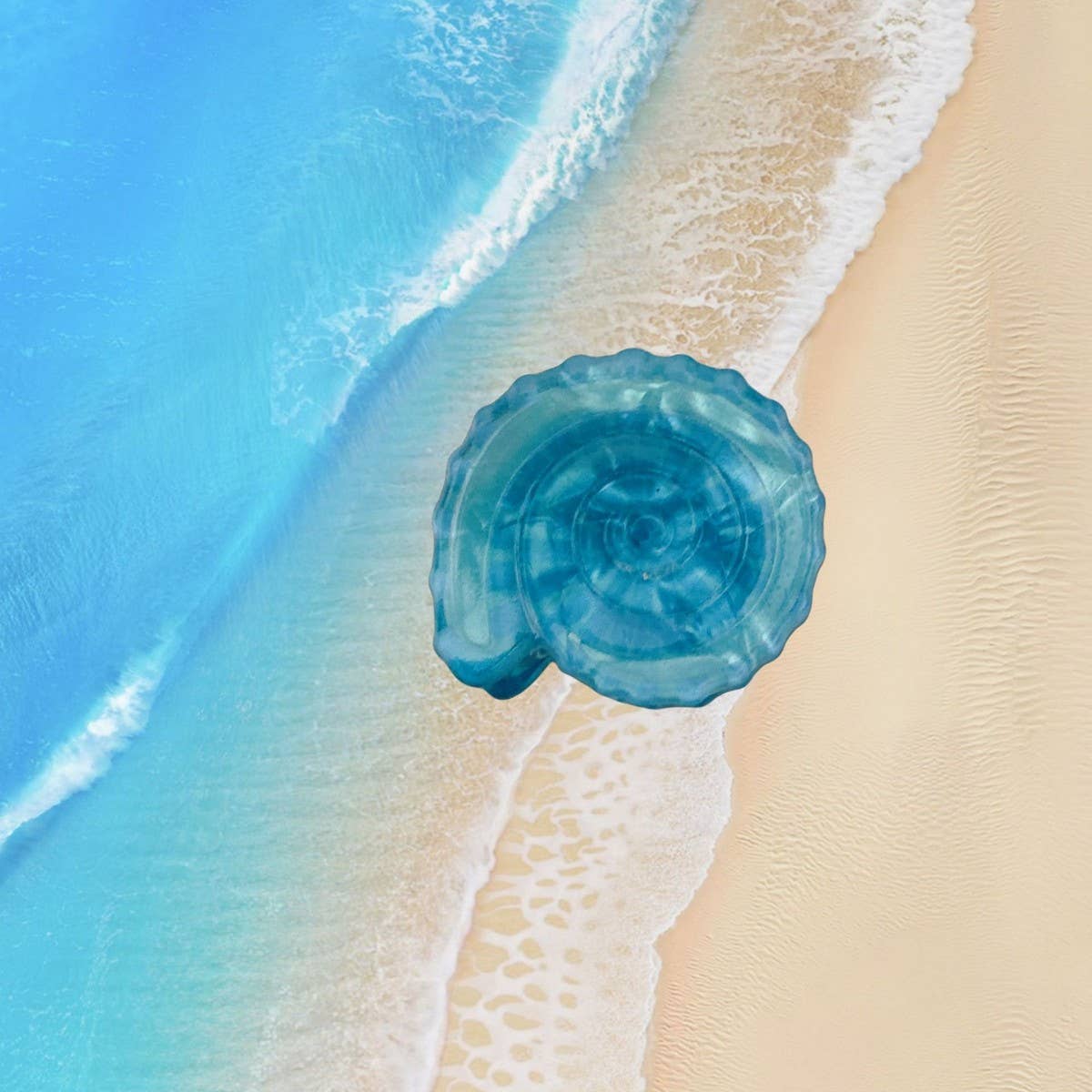 CWAHA07728_SEASHELL CONCH ACRYLIC HAIR CLAW BEACH STYLE