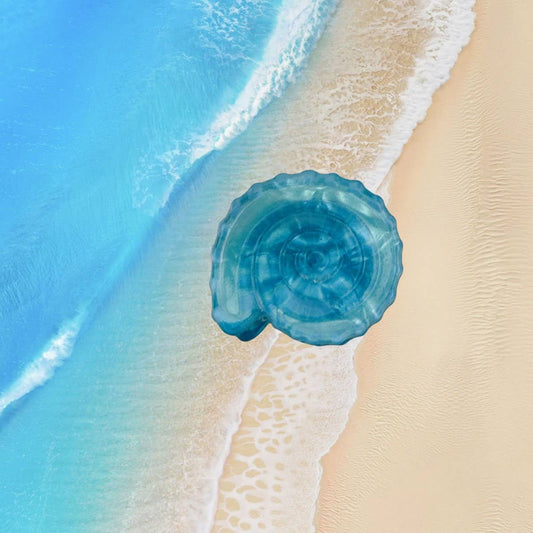 CWAHA07728_SEASHELL CONCH ACRYLIC HAIR CLAW BEACH STYLE