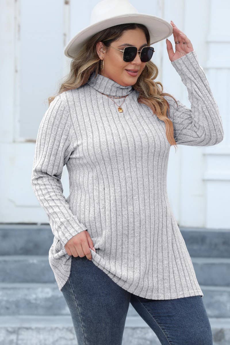 CWTTL1314_PLUS Size Turtle Neck Long Slv Pullover Long Top