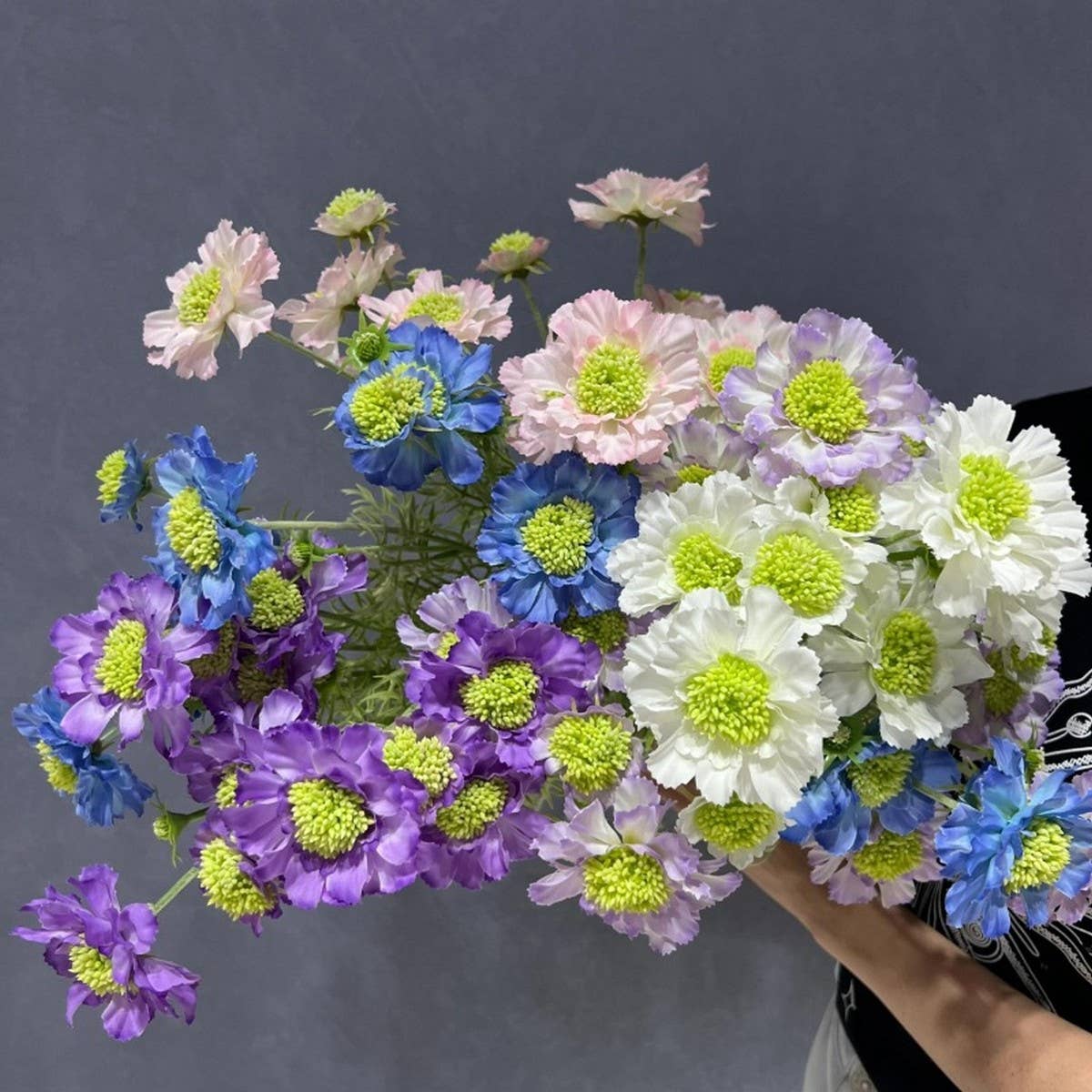Single Stem 5-Head Flocked Cosmos Daisy Flower_CWMM6573