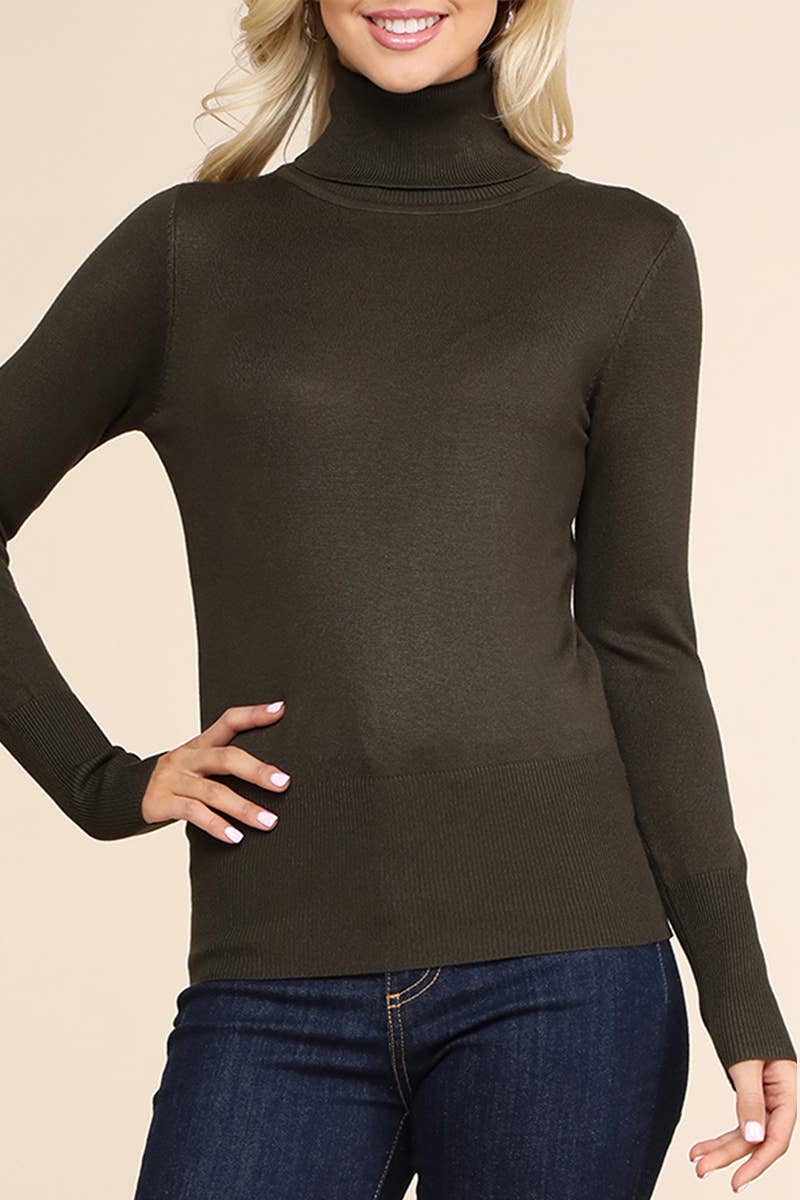 AWOSWL285_Stretch Turtle Neck Long Sleeve Pullover Sweater