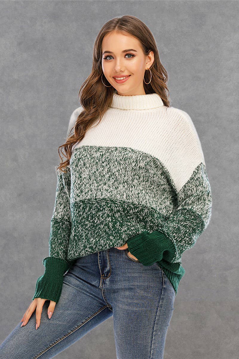 CWOSWL1711_Turtle Neck Long Sleeve Pullover Sweater