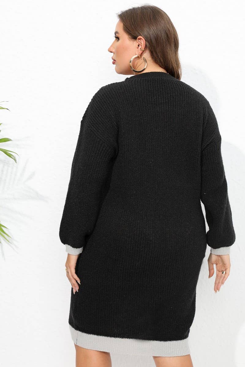 CWOSWL1592_PLUS Size V-Neck Long Sleeve Pullover Sweater