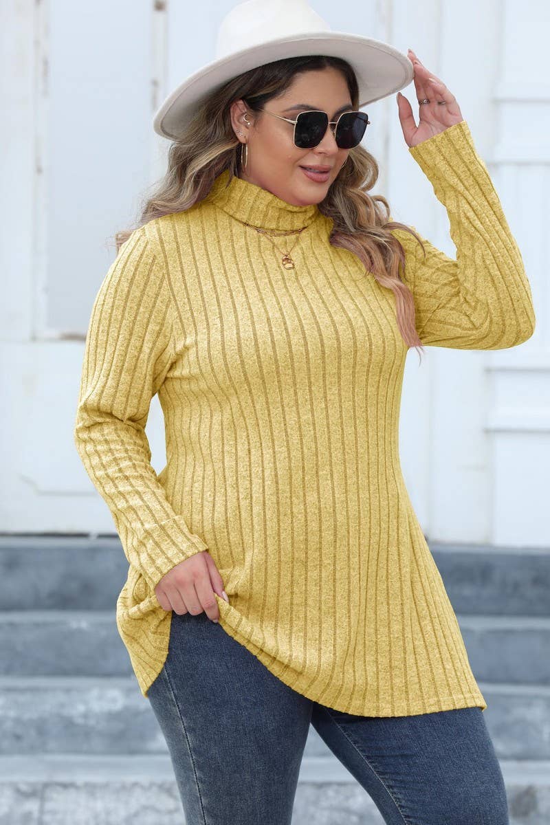 CWTTL1314_PLUS Size Turtle Neck Long Slv Pullover Long Top