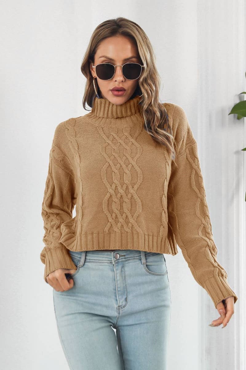 CWOSWL6422_WINTER TURTLENECK SWEATER WITH LONG SLEEVES