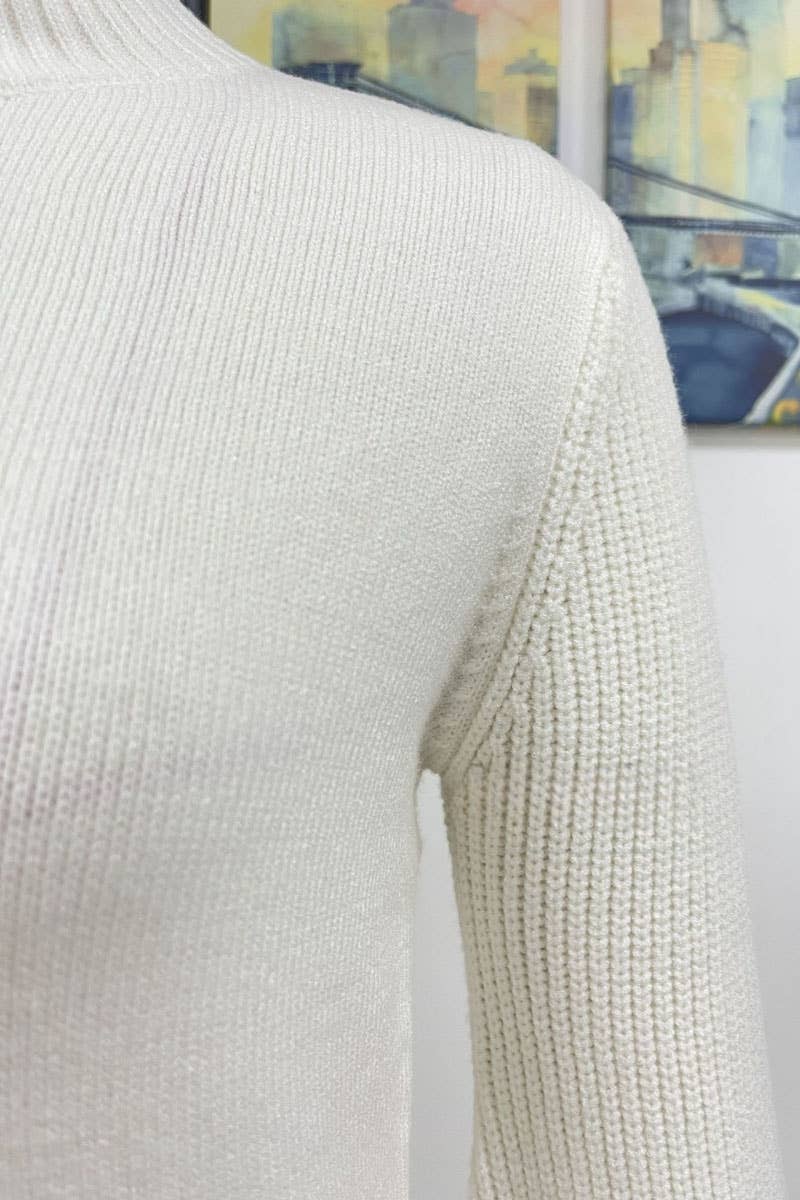 CWOSWL605_Turtle Neck Long Sleeve With Botton Sweater