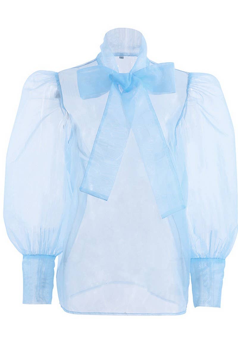 CWTSTL2579_PUFF SLEEVE BOWKNOT SEE-THROUGH LONG SLEEVE TOP