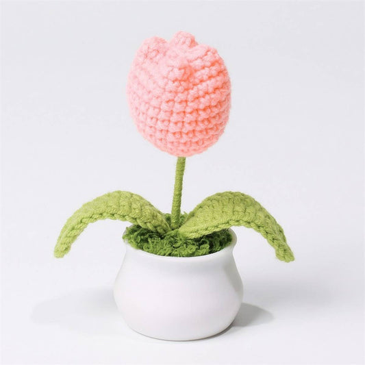 CWMM9284_TEACHER'S DAY HANDMADE CROCHETED TULIP POT