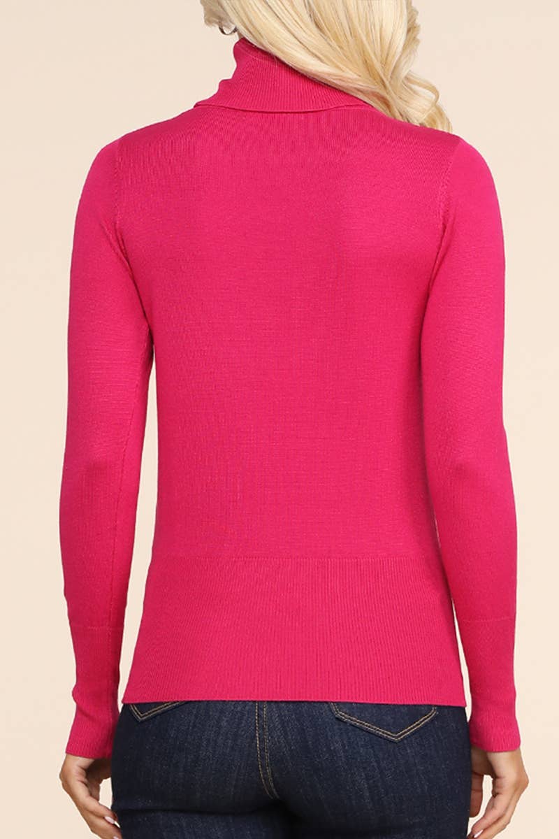AWOSWL285_Stretch Turtle Neck Long Sleeve Pullover Sweater