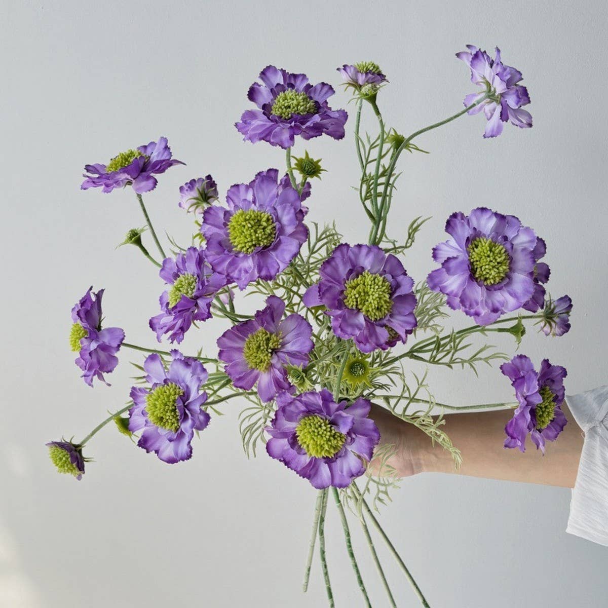 Single Stem 5-Head Flocked Cosmos Daisy Flower_CWMM6573