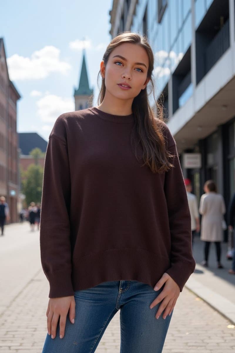 CWOSWL6631_CREW-NECK LONG-SLEEVED SOLID COLOR SWEATER