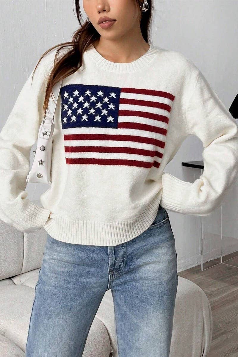 CWOSWL5753_AMERICAN FLAG LOOSE FIT CREWNECK SWEATER