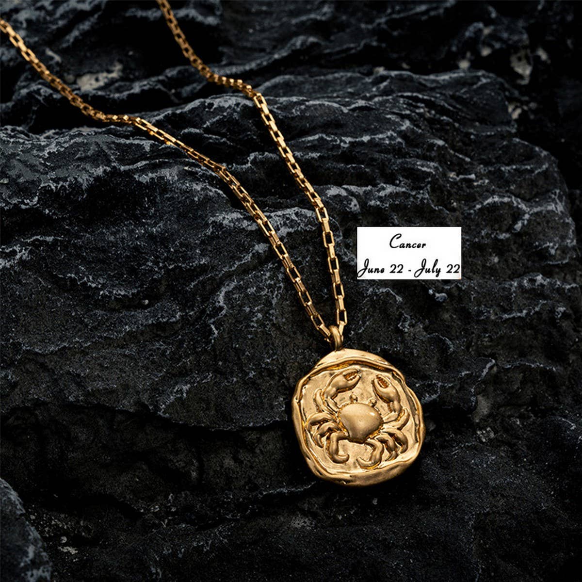 STAINLESS STEEL ZODIAC OVAL PENDANT NECKLACE_CWMM3761