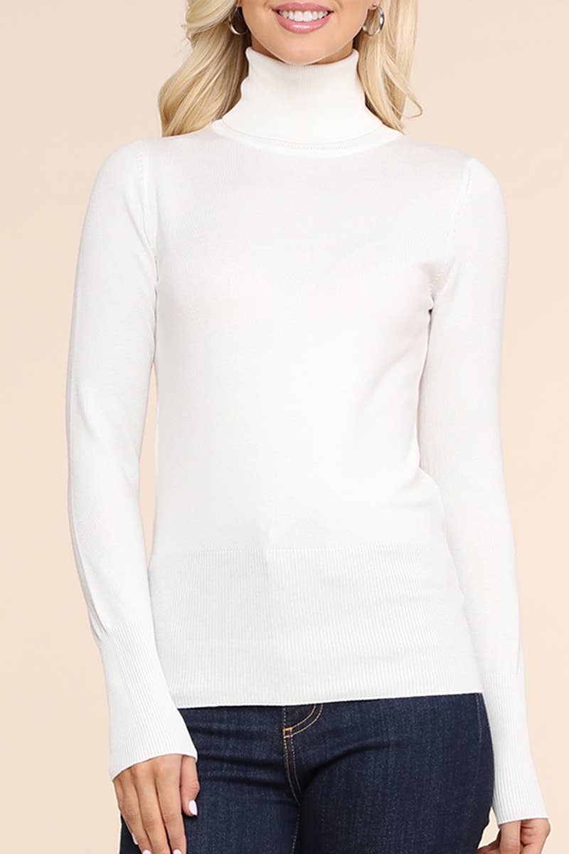 AWOSWL285_Stretch Turtle Neck Long Sleeve Pullover Sweater
