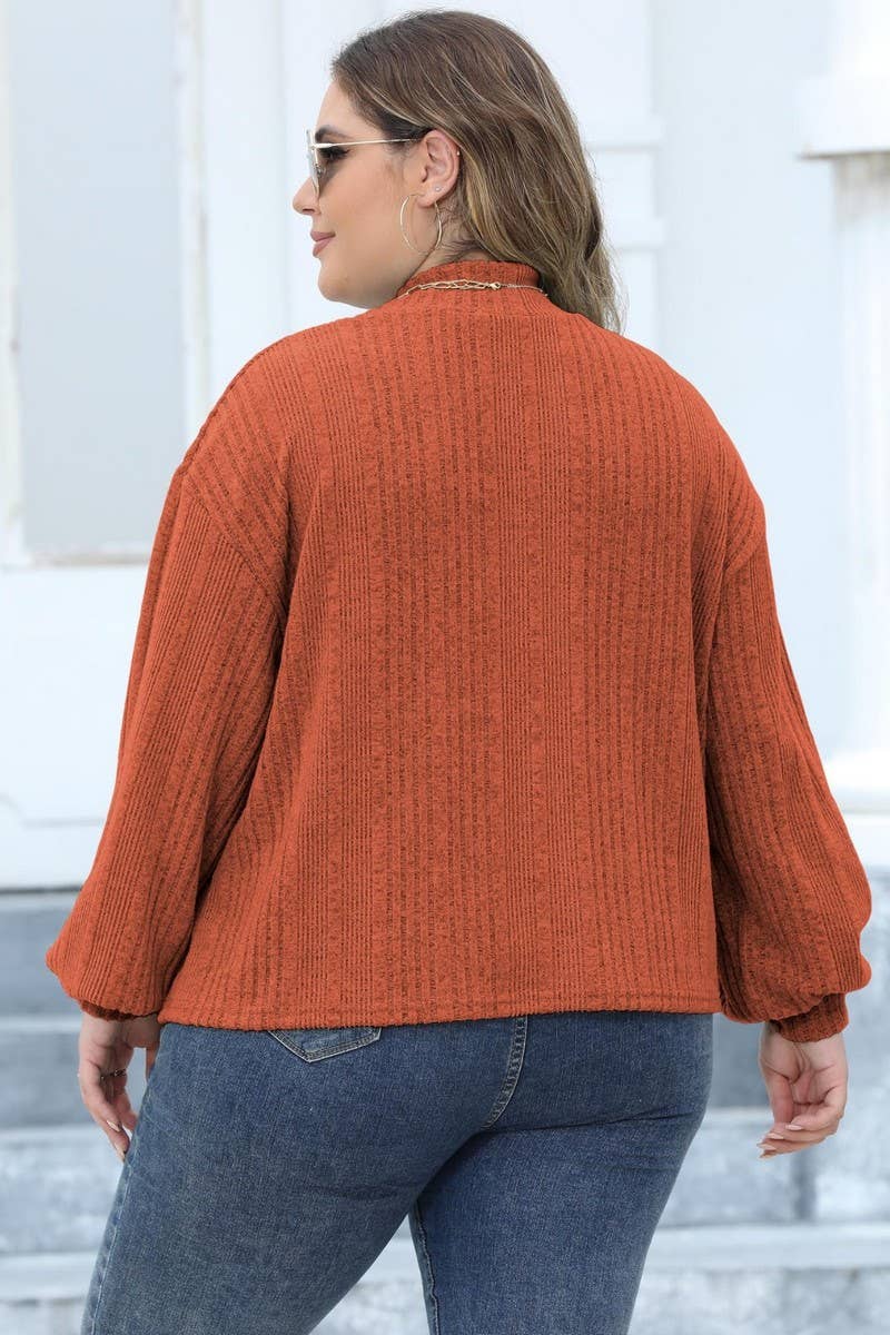 CWTTL1310_PLUS Size Turtle Neck Long Sleeve Pullover Top