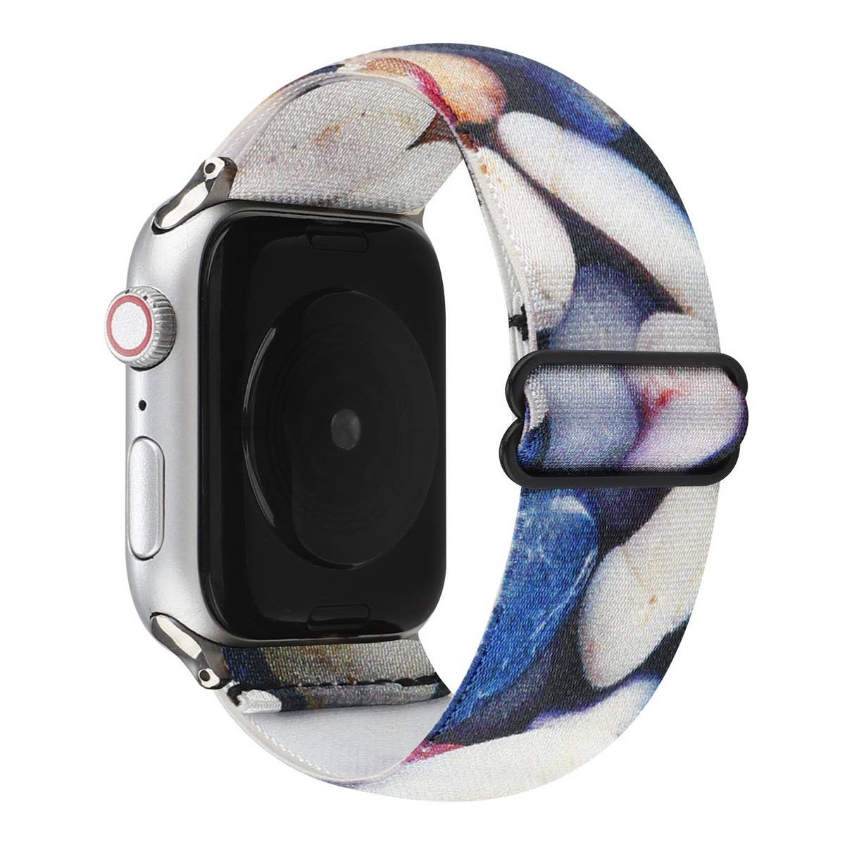 APPLE WATCH 9-1 NYLON ELASTIC STRAP_CWWW0050