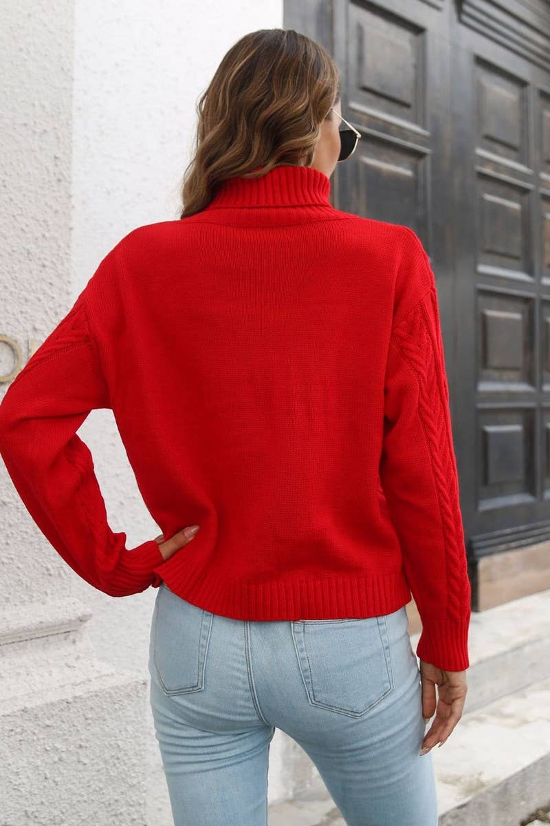 CWOSWL4090_SOLID COLOR TWISTED TURTLENECK SWEATER