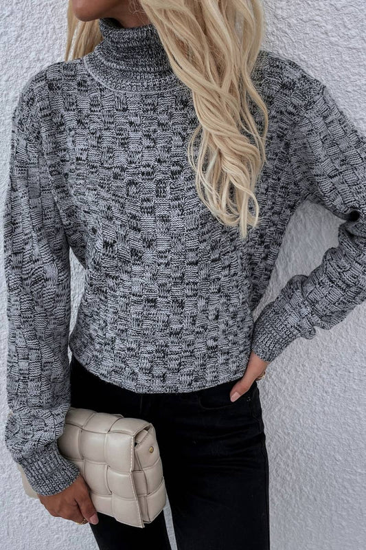 CWOSWL1157_Turtle Neck Long Sleeve Pullover Sweater