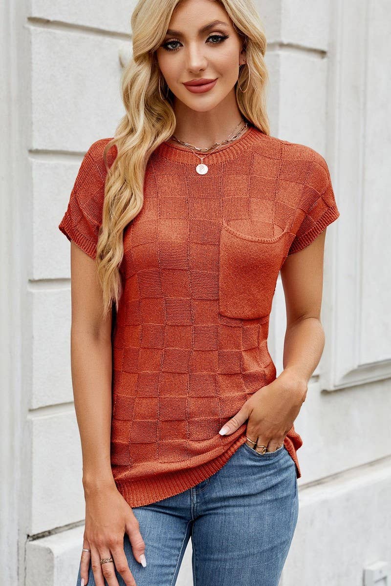 CWTBLS02497_SMALL CHECK CASUAL SHORT SLEEVE KNIT TOP