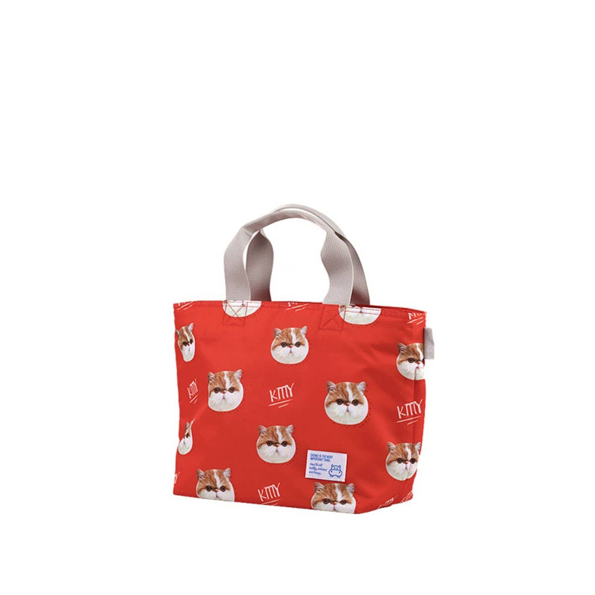 WATERPROOF PORTABLE THERMAL BENTO BAG FOR STUDENTS_CWAB1817