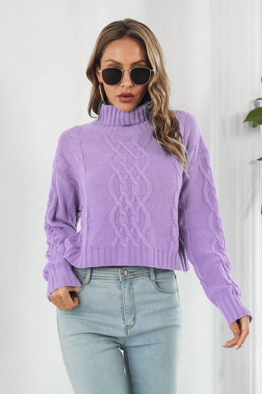 CWOSWL3875_HIGH COLLAR LONGSLEEVE TWISTED ROPE SHORT SWEATER