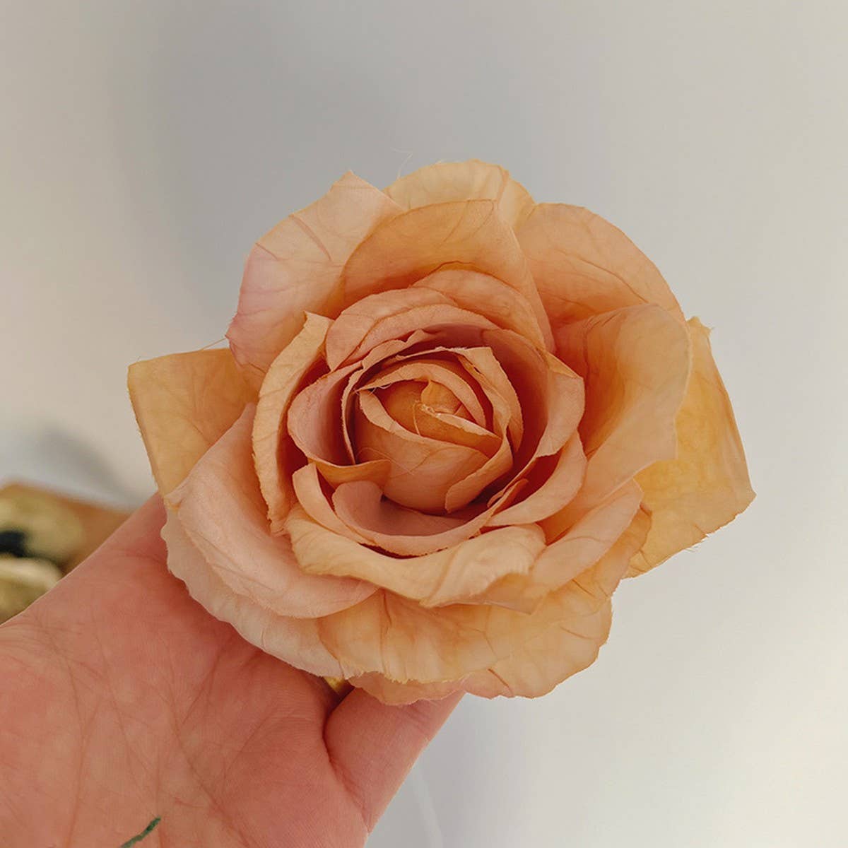 2024 NEW HIGH-END ROSE HAIRPINS_CWAHA1168