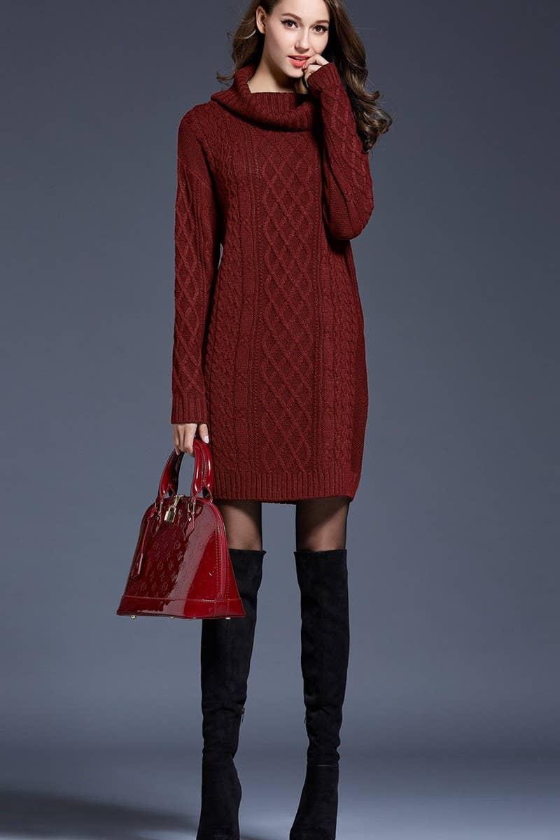 CWDSD5133_LONG TURTLENECK KNITTED DRESS