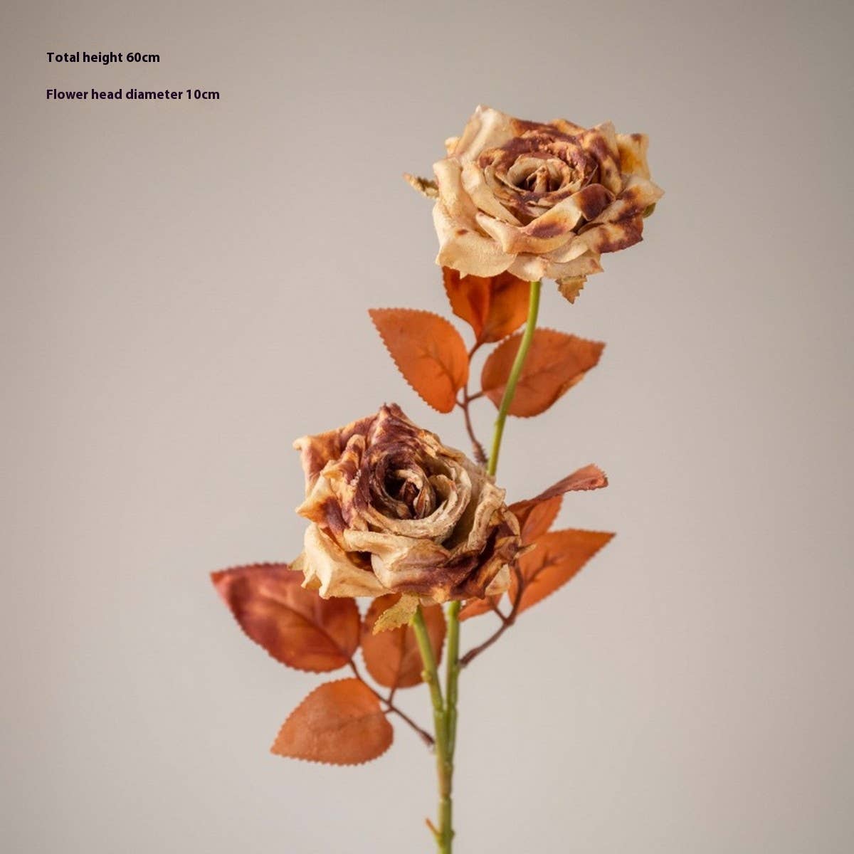Dried Tone Burnt Edge Rose Bouquet for Decor