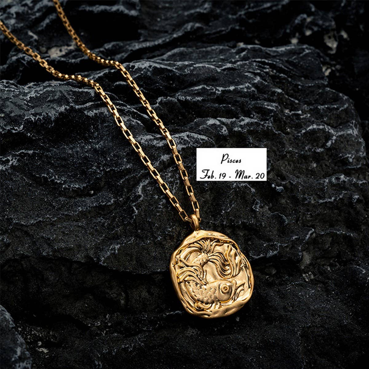 STAINLESS STEEL ZODIAC OVAL PENDANT NECKLACE_CWMM3761
