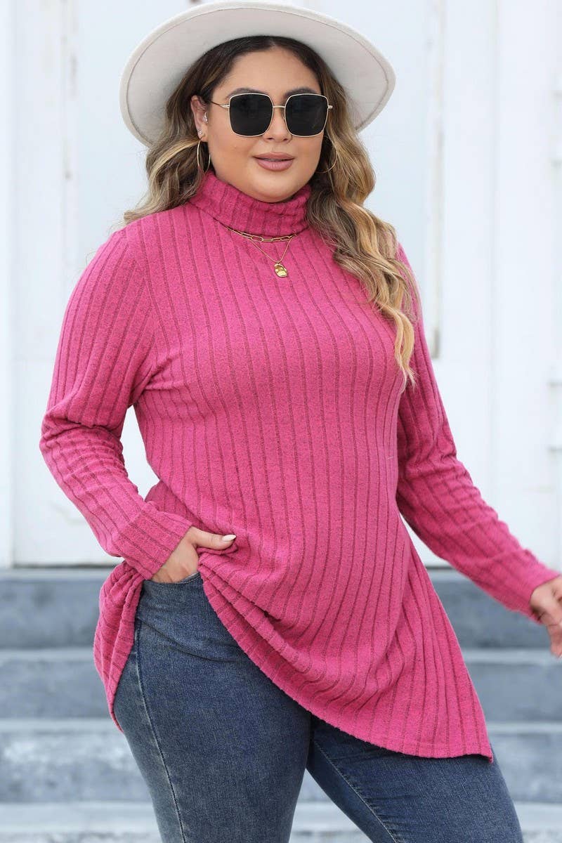 CWTTL1314_PLUS Size Turtle Neck Long Slv Pullover Long Top