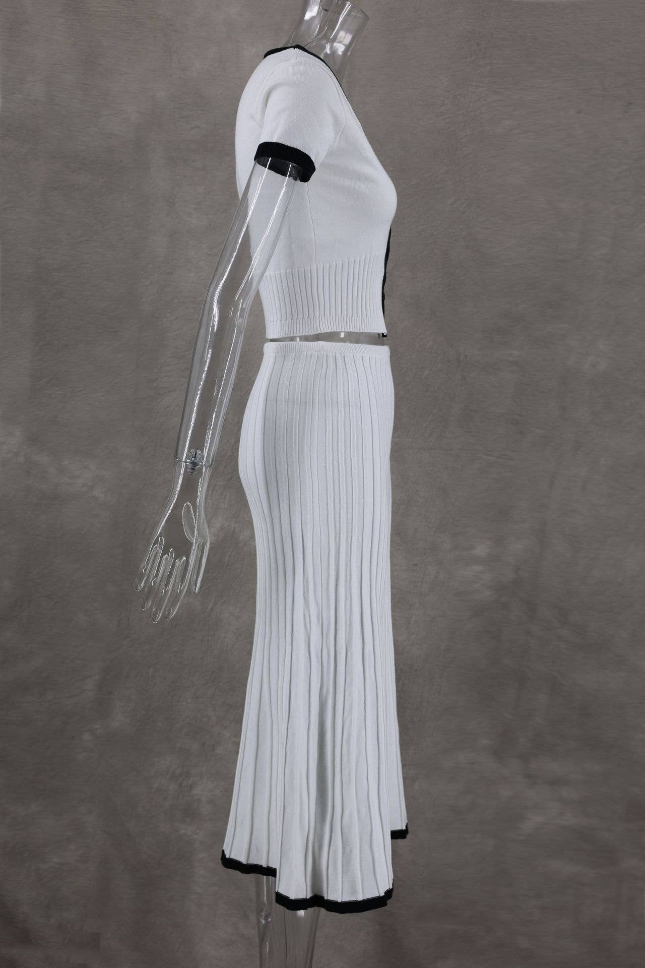 Elegant 2-Piece Set with Skirt Casual & Chic