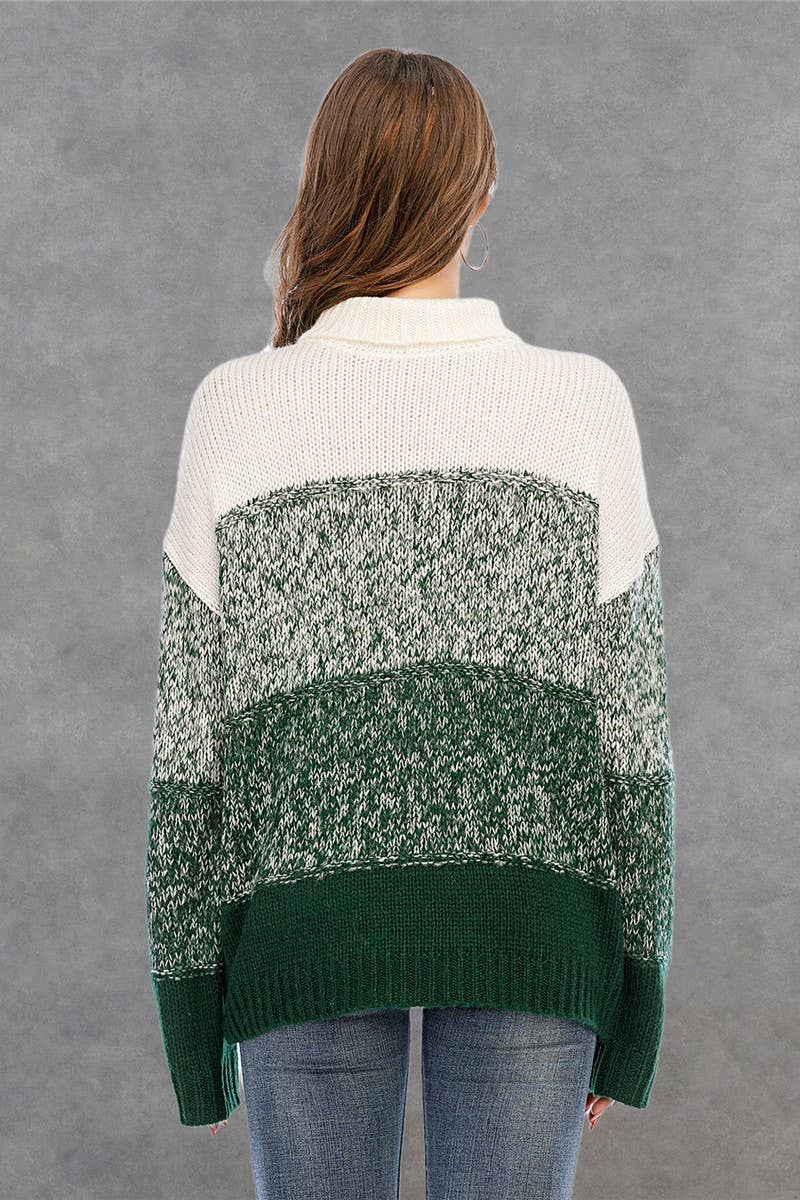 CWOSWL1711_Turtle Neck Long Sleeve Pullover Sweater