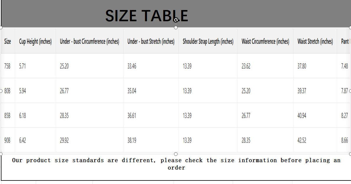 CWMU00299_SEXY ADJUSTABLE BREATHABLE BRA & PANTY SET