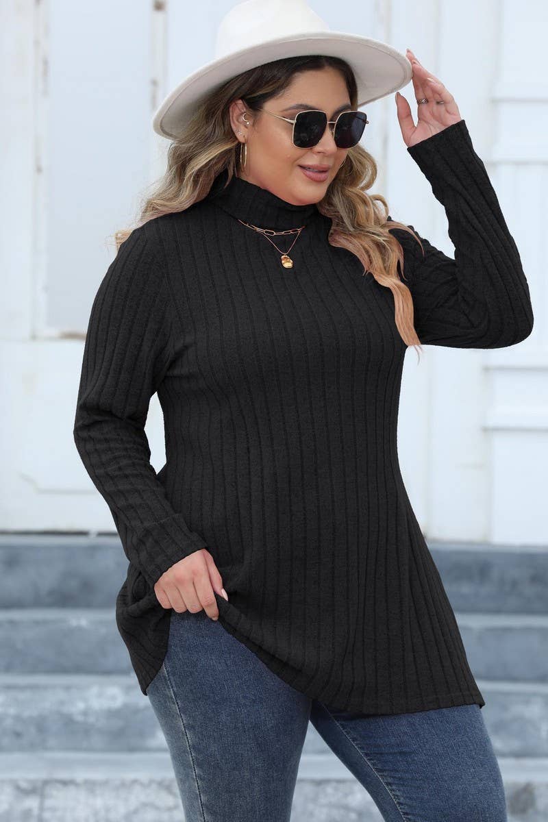 CWTTL1314_PLUS Size Turtle Neck Long Slv Pullover Long Top