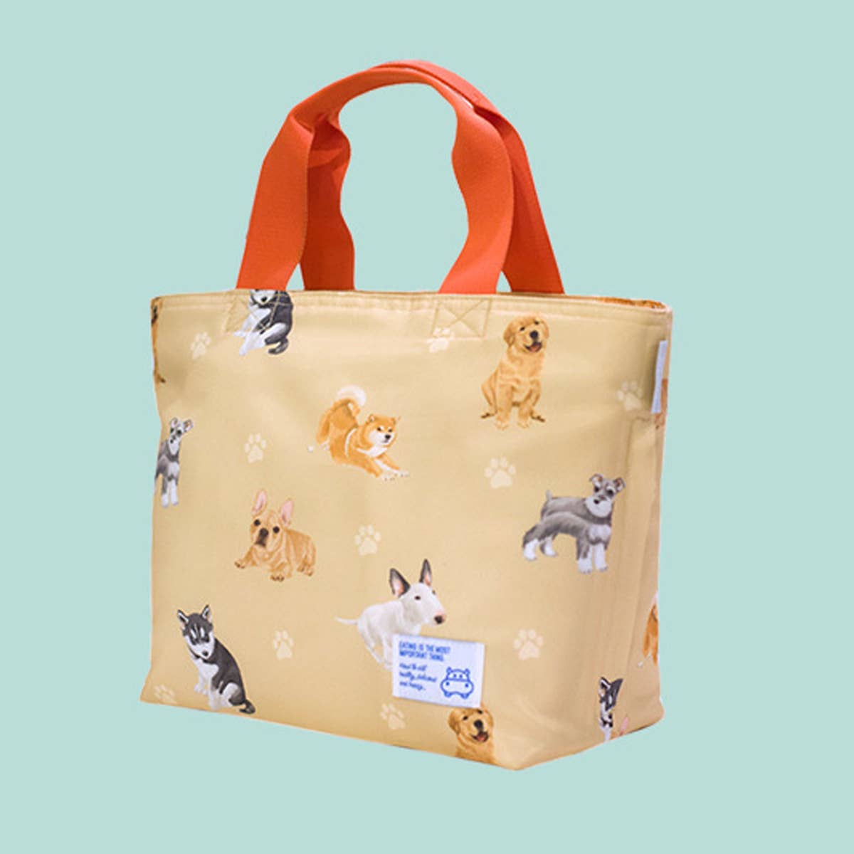 FASHIONABLE INSULATED LUNCH BAG_CWAB1858