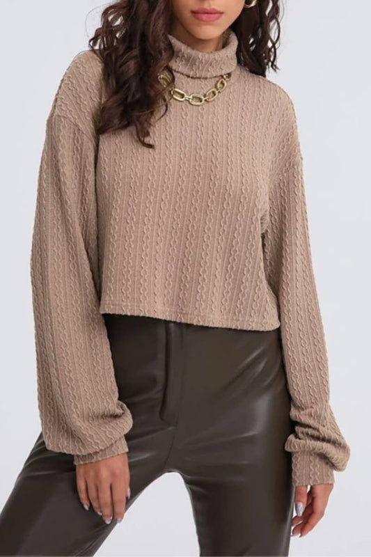 CWOSWL6267_SOLID COLOR TURTLENECK LONG-SLEEVED SWEATER