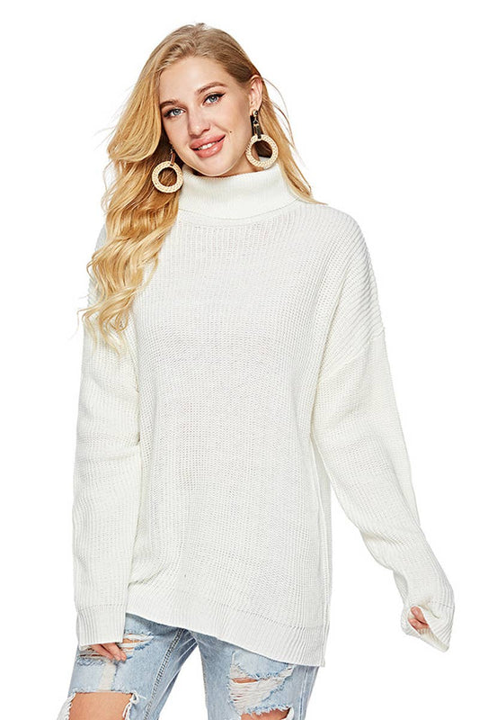 CWTSTL2701_CASUAL STRIPED TURTLENECK KNIT SWEATER
