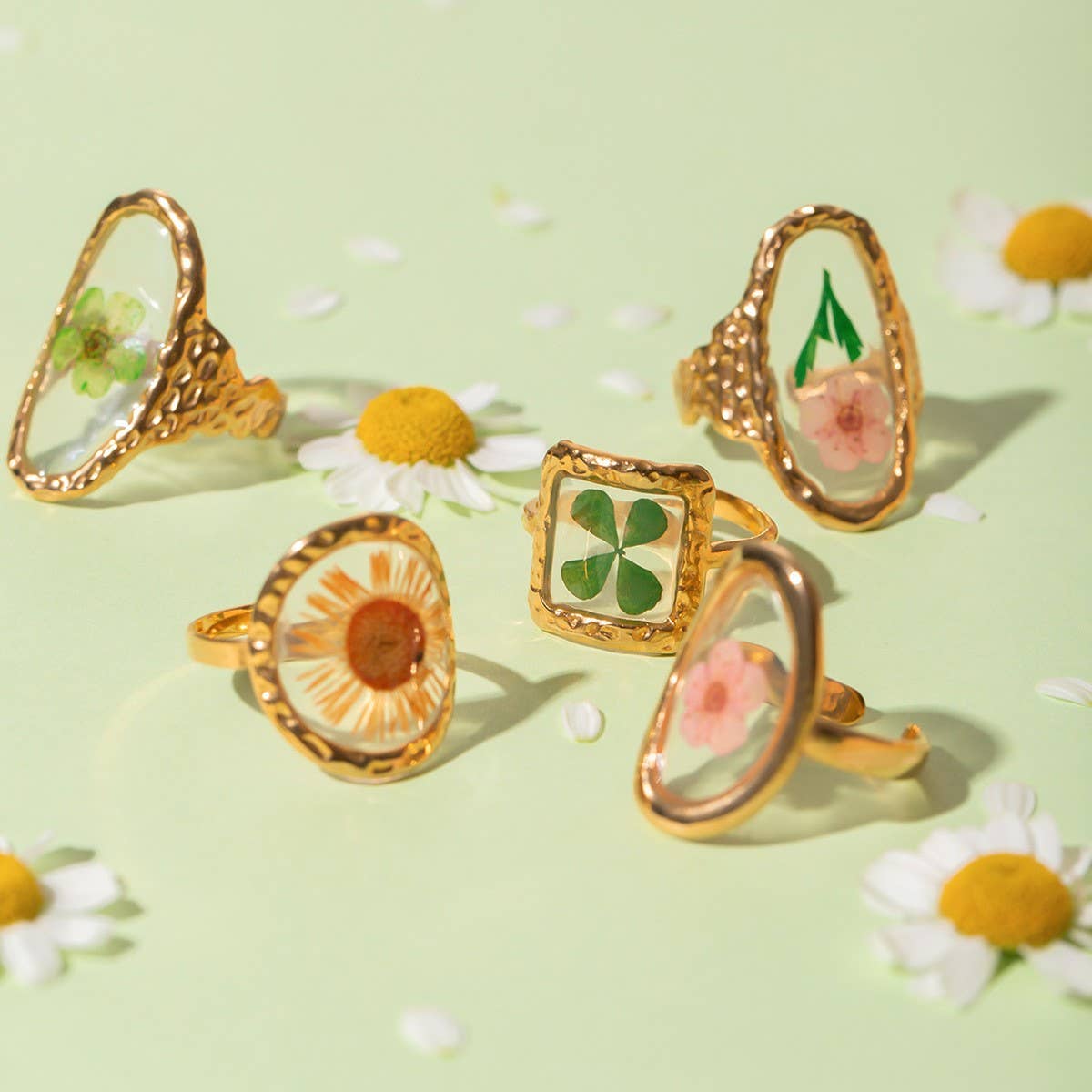 ROUND PRESERVED DRIED FLOWER RING
