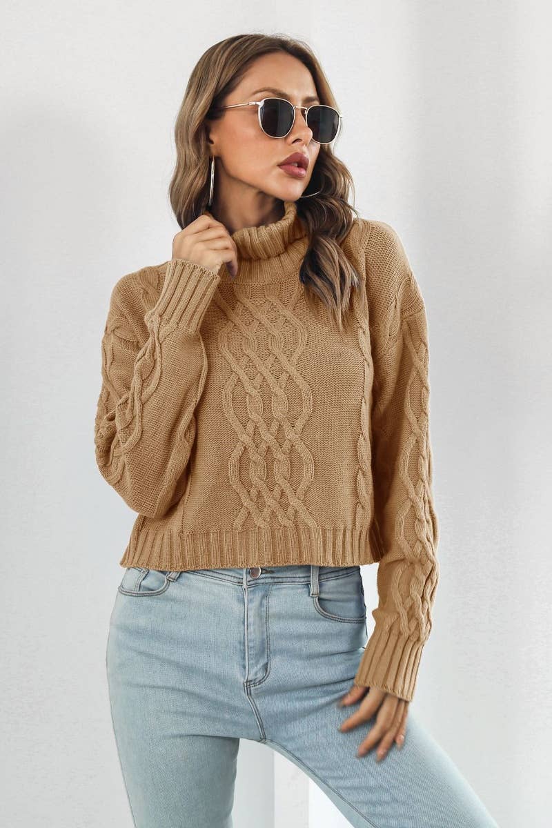 CWOSWL6422_WINTER TURTLENECK SWEATER WITH LONG SLEEVES