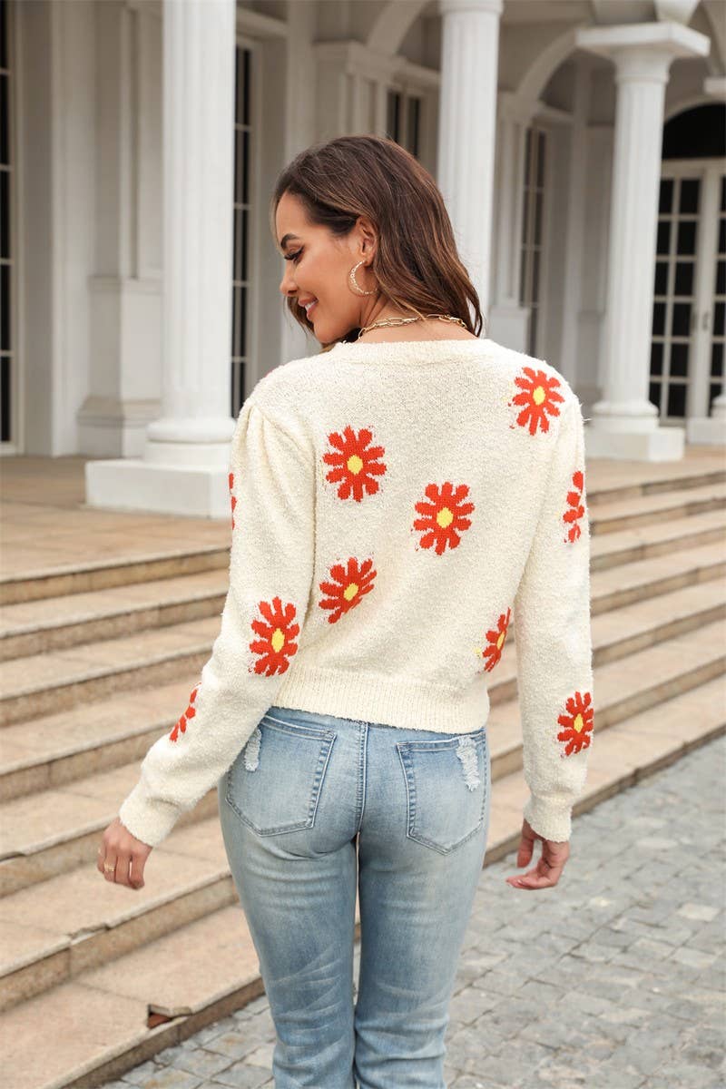 CWOSWL1668_Crew Neck Long Sleeve Pullover Sweater